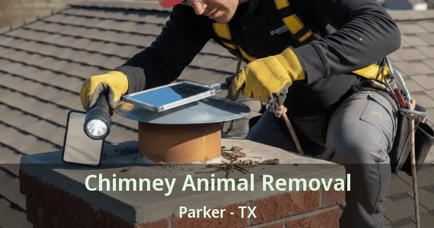 Chimney Animal Removal Parker - TX