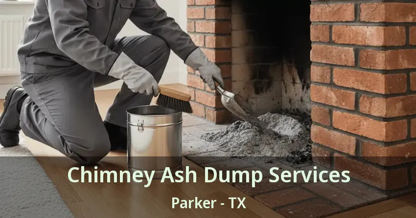 Chimney Ash Dump Services Parker - TX