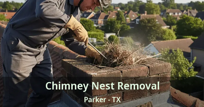 Chimney Nest Removal Parker - TX