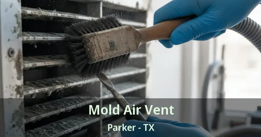 Mold Air Vent Parker - TX Mold Air Vent Parker - TX