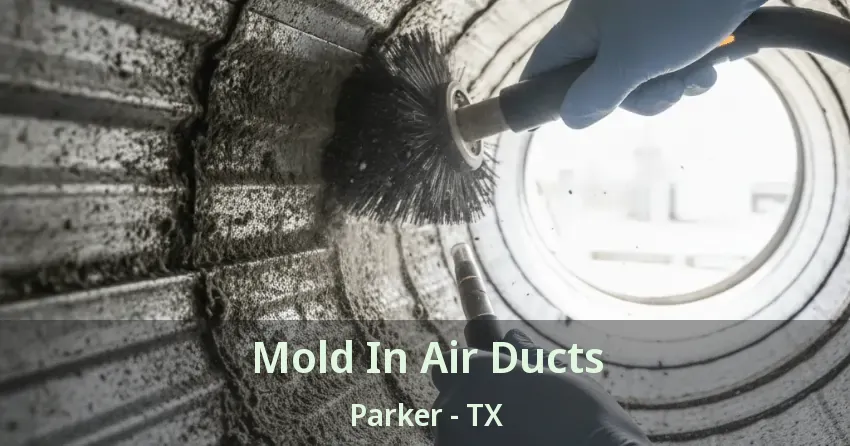Mold In Air Ducts Parker - TX