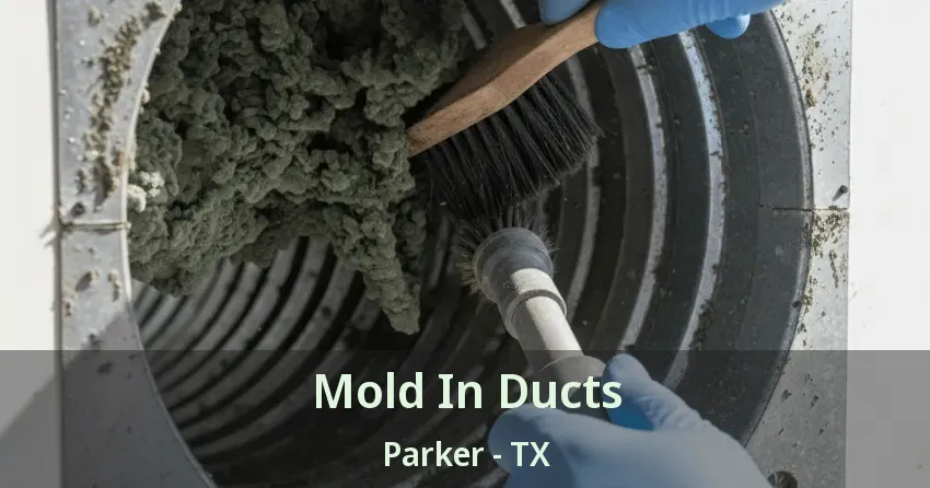 Mold In Ducts Parker - TX Mold In Ducts Parker - TX