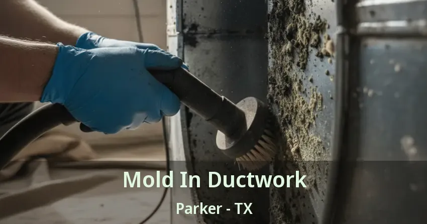 Mold In Ductwork Parker - TX