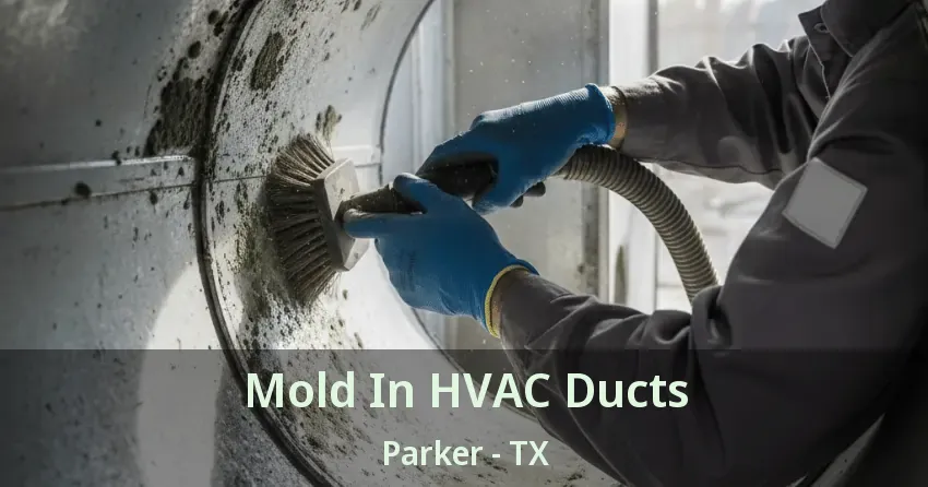 Mold In HVAC Ducts Parker - TX