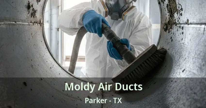 Moldy Air Ducts Parker - TX